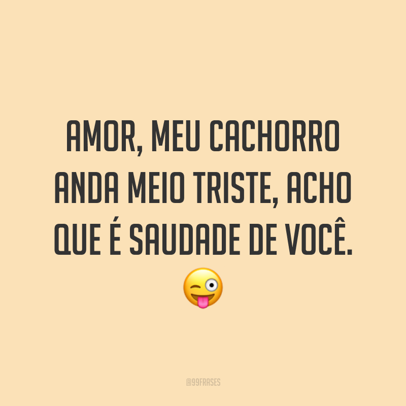 Frases Engra Adas De Amor Para Conquistar O Crush Bom Humor